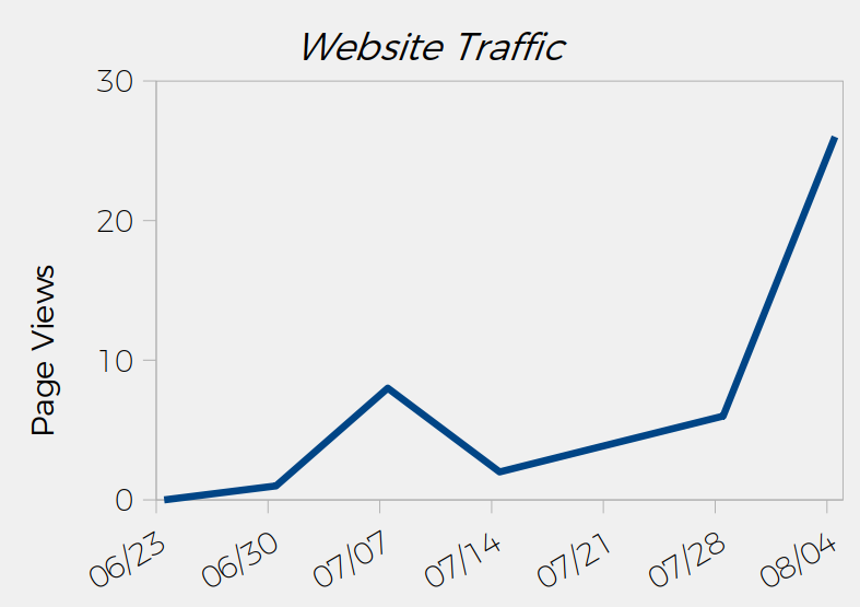 Website Traffic Chart